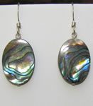 Paua shell ovals earrings